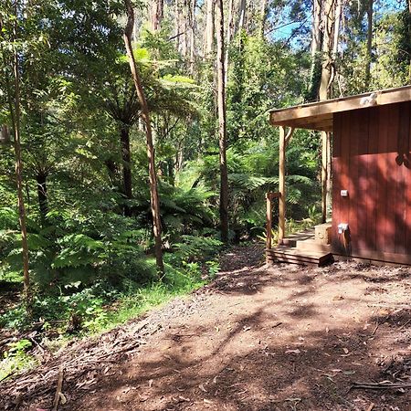 The Fernglen Forest Retreat Mount Dandenong Exterior foto