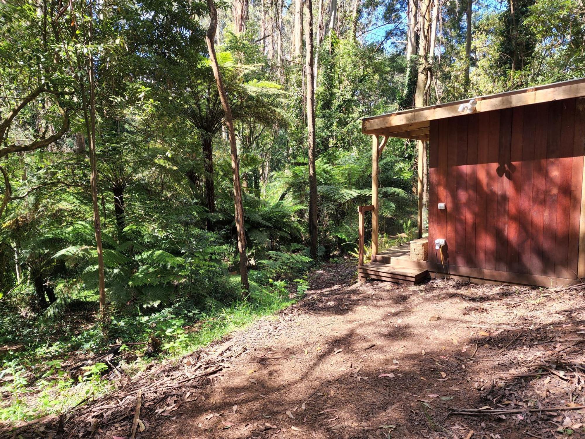 The Fernglen Forest Retreat Mount Dandenong Exterior foto
