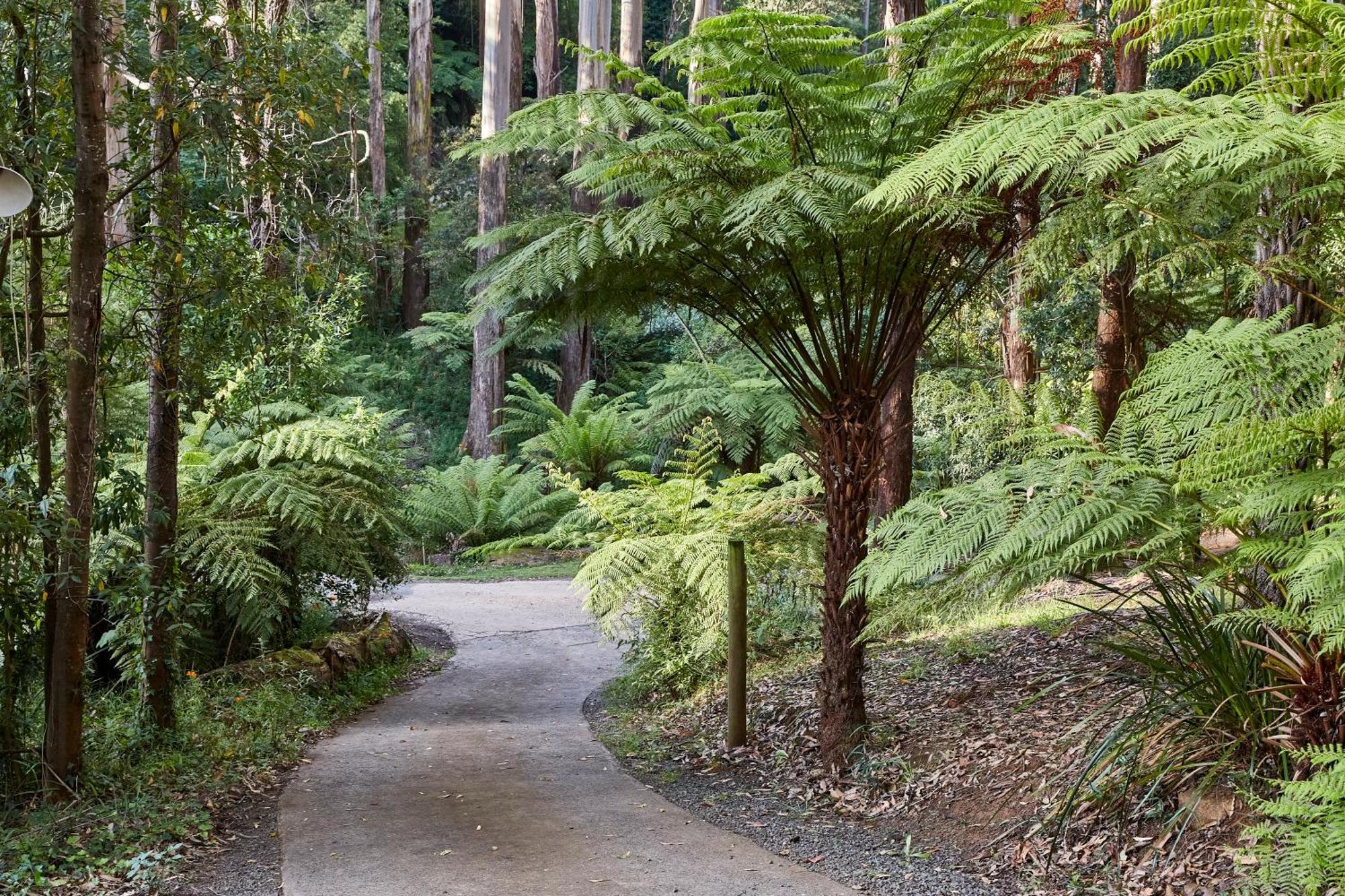 The Fernglen Forest Retreat Mount Dandenong Exterior foto