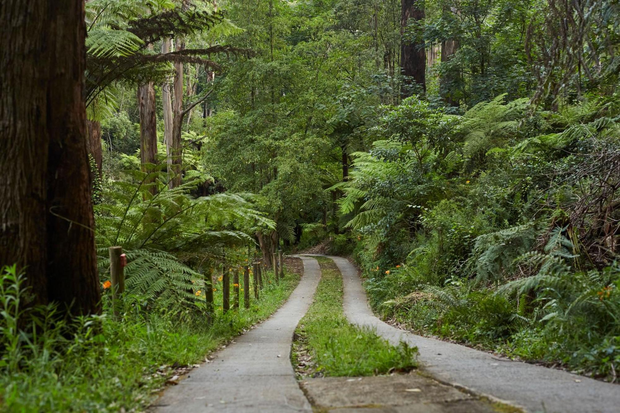The Fernglen Forest Retreat Mount Dandenong Exterior foto