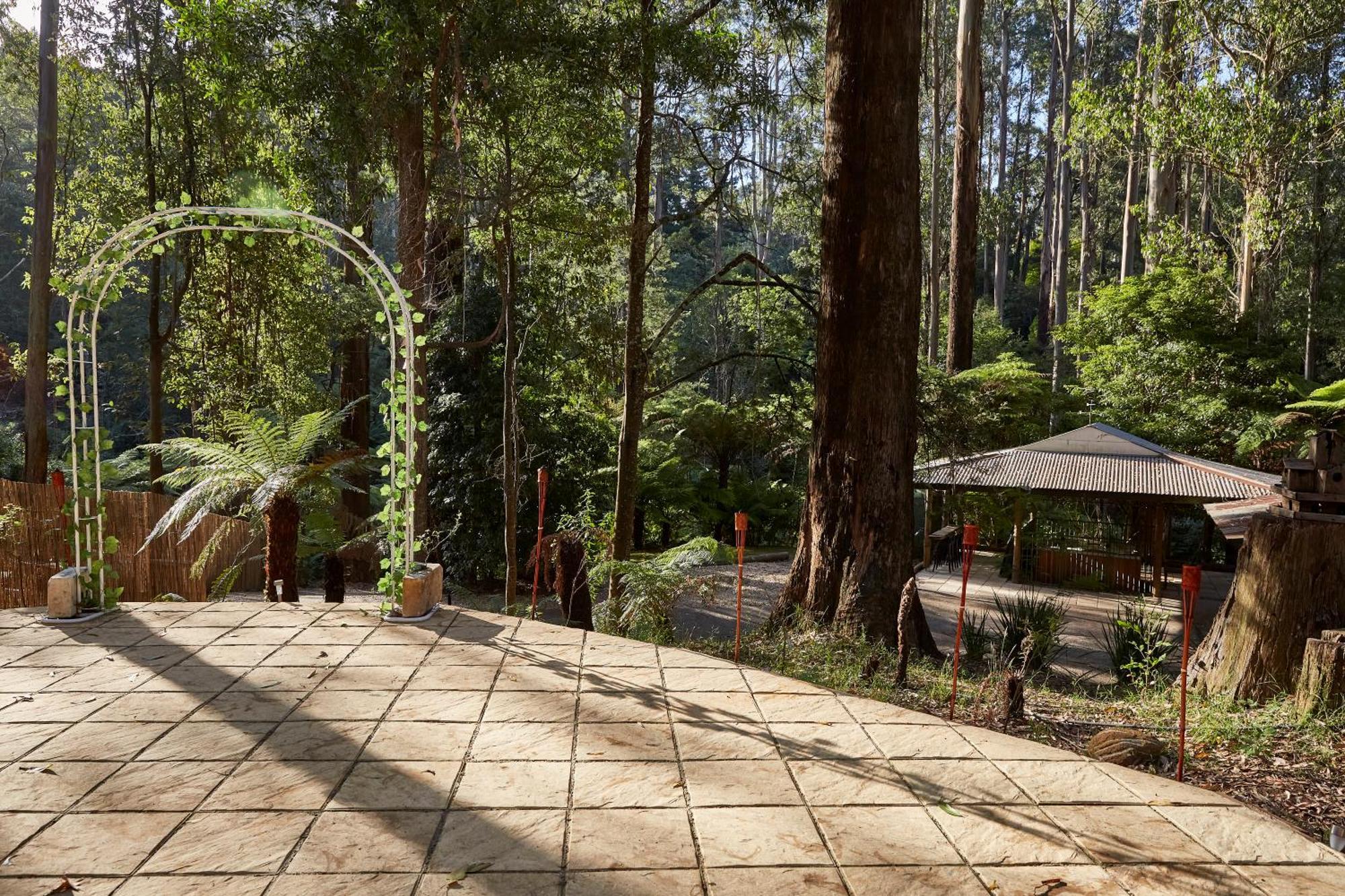 The Fernglen Forest Retreat Mount Dandenong Exterior foto
