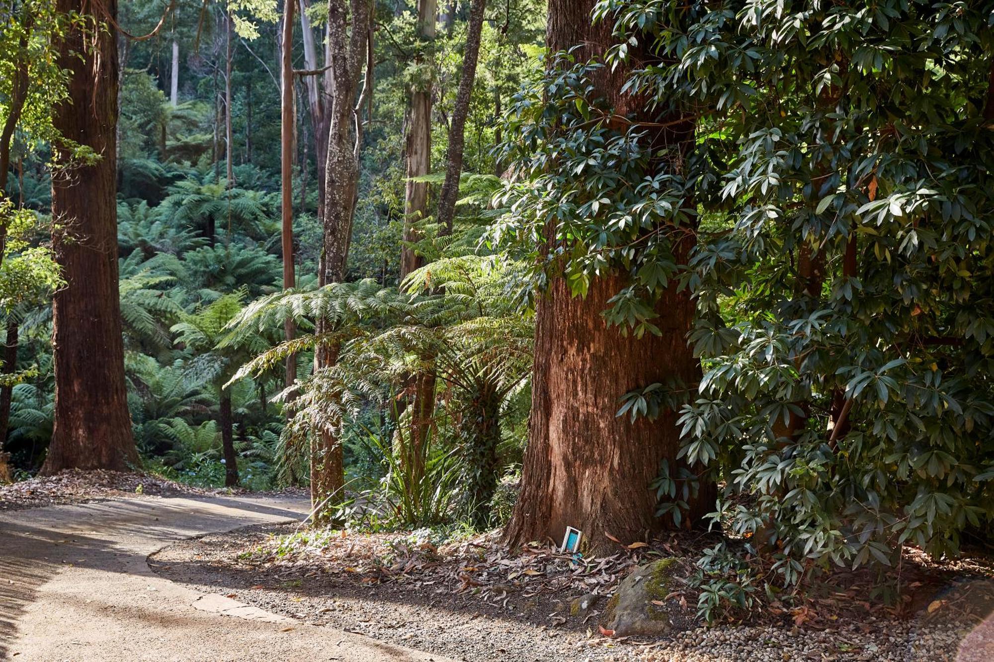 The Fernglen Forest Retreat Mount Dandenong Exterior foto